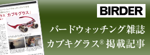 BIRDER バードウォッチング雑誌 カブキグラス掲載記事