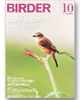 BIRDER 10月号