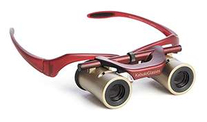 KabukiGlasses